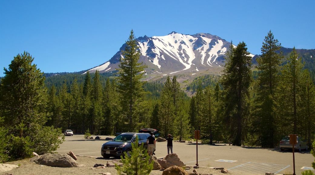 Mill Creek which includes forest scenes and mountains as well as a small group of people