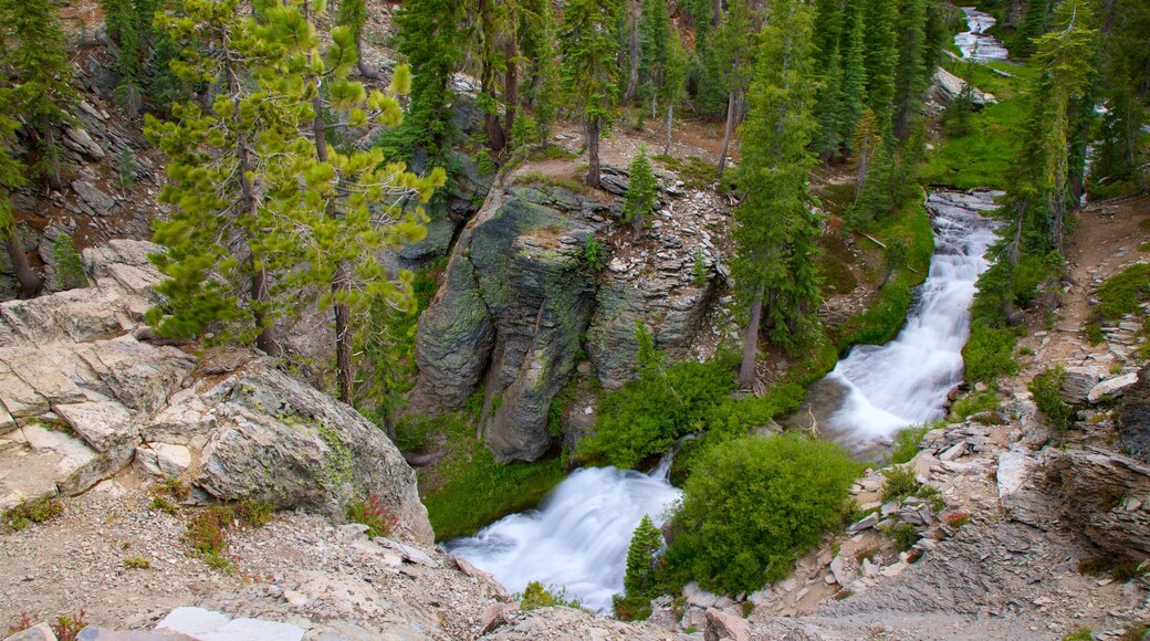 Mill Creek which includes a river or creek and forest scenes