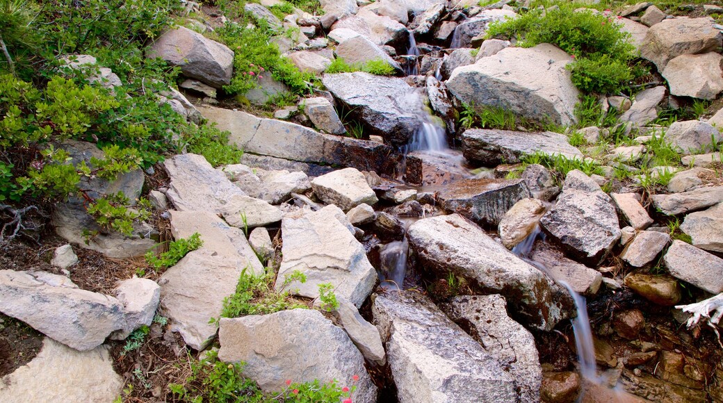 Kings Creek Falls featuring a river or creek