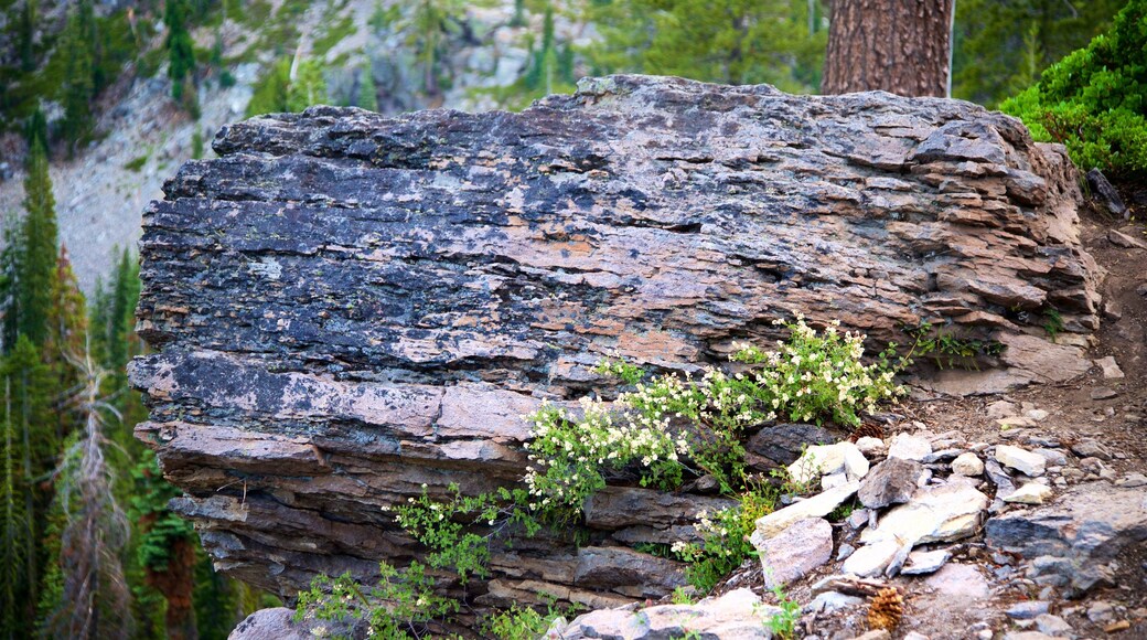 Kings Creek Falls