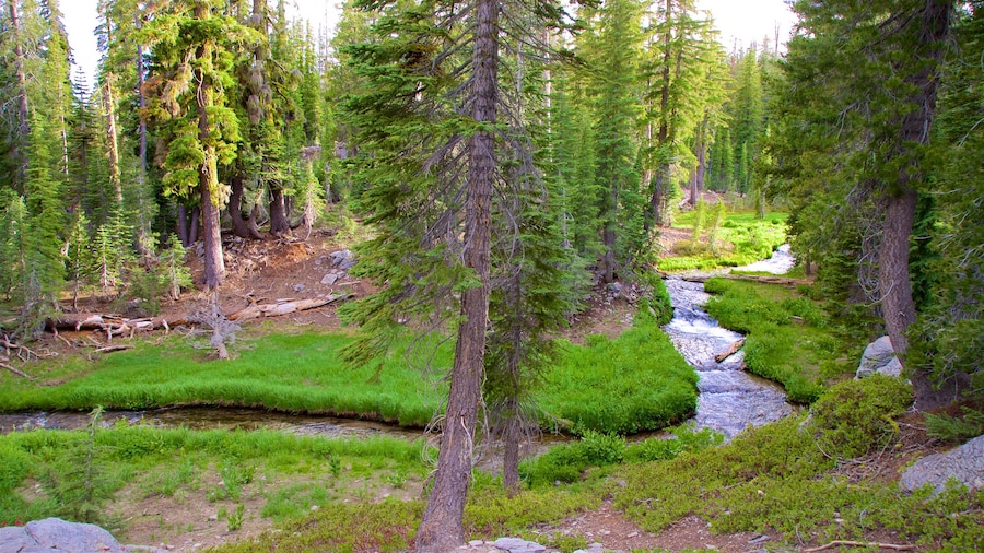 Mill Creek
