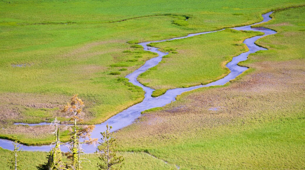 Mill Creek featuring tranquil scenes and a river or creek