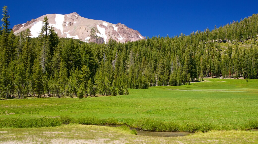 Mill Creek showing tranquil scenes and a river or creek