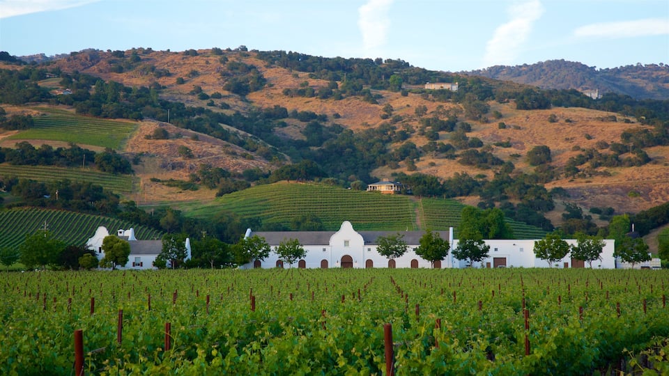 Napa mit einem ruhige Szenerie, Kleinstadt oder Dorf und Landschaften