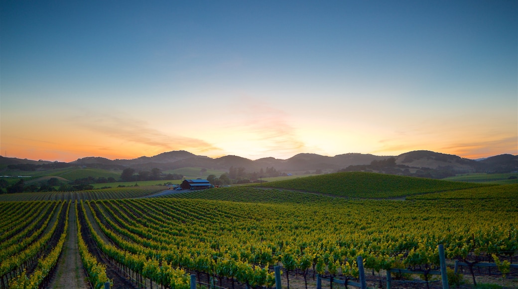 Napa showing landscape views, a sunset and farmland