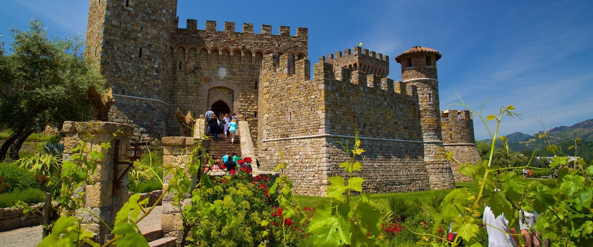 Castello di Amorosa 城堡酒庄