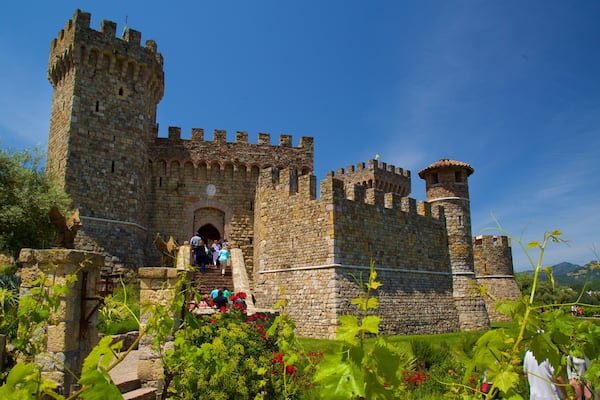 Castello di Amorosa featuring a church or cathedral, wild flowers and heritage elements