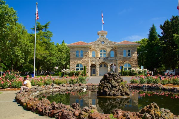 Sonoma Plaza showing flowers, heritage elements and a park