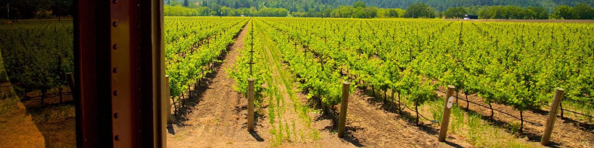 Napa Valley Wine Train showing farmland and tranquil scenes