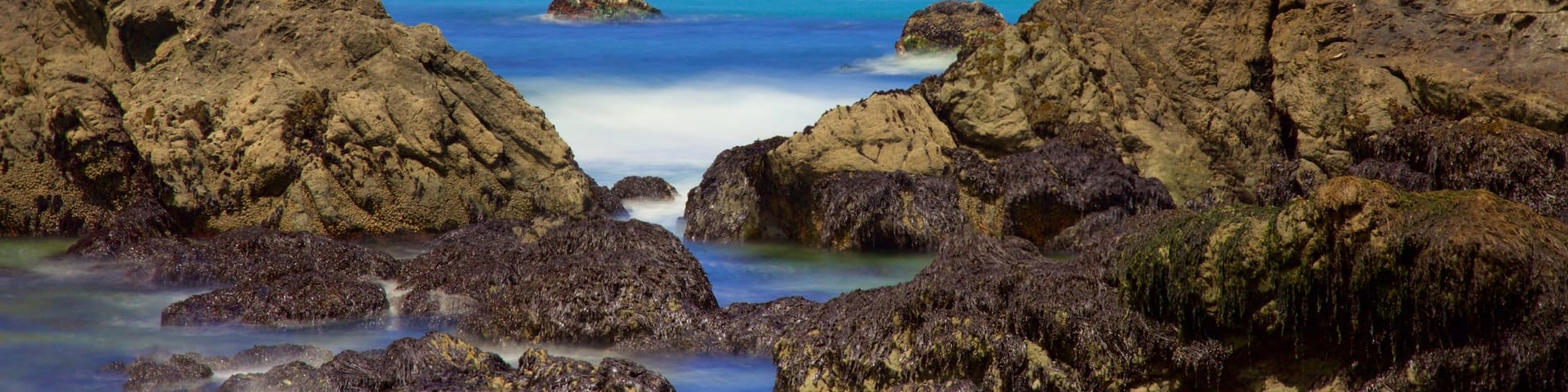 North Coast California