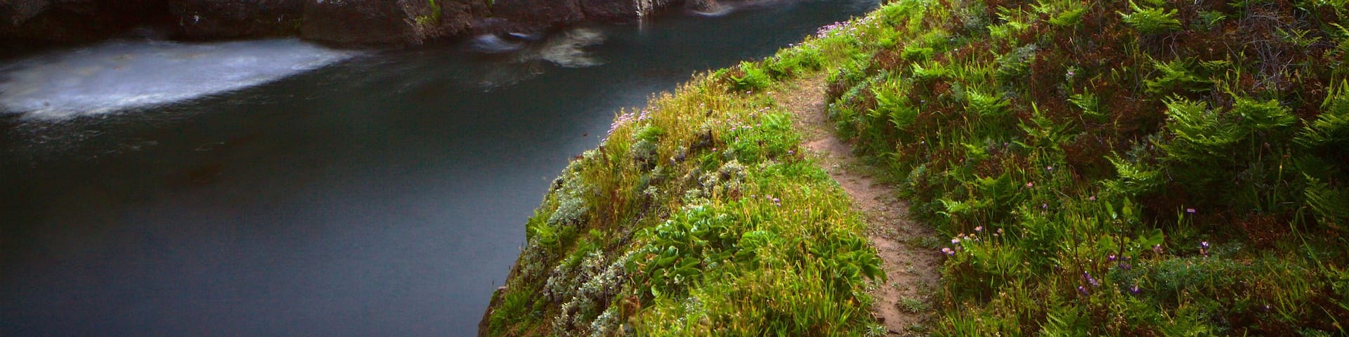Parc d\'état de Mendocino Headlands qui includes vues littorales, gorge ou canyon et côte escarpée