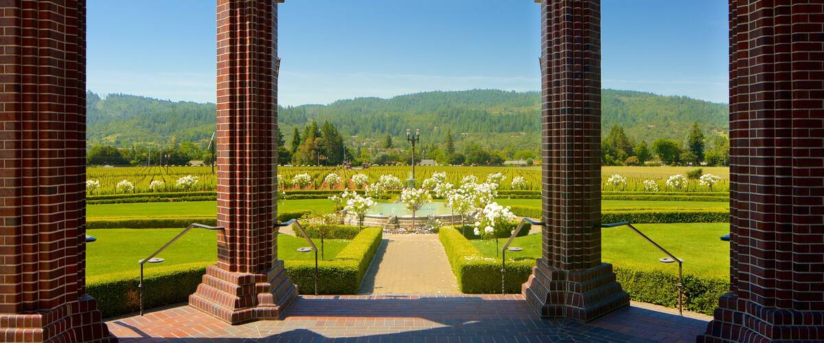 Ledson Winery and Vineyards showing flowers, heritage elements and a park