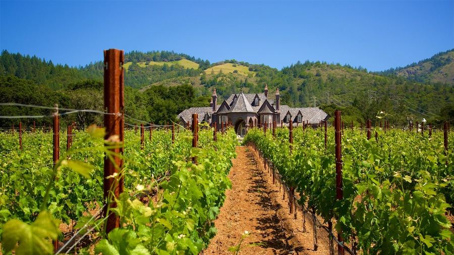 Ledson Winery and Vineyards que incluye granja, elementos patrimoniales y escenas tranquilas