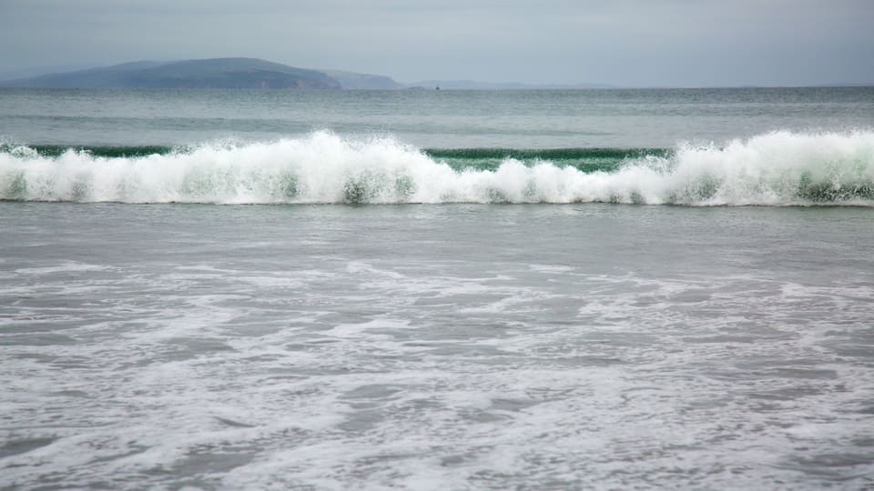 Bodega Bay featuring waves and general coastal views