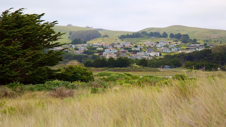 Bodega Bay which includes landscape views, a small town or village and tranquil scenes