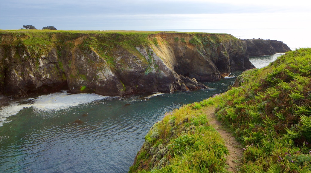 Mendocino Headlands State Park featuring general coastal views and rugged coastline