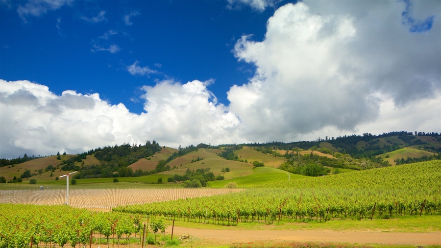 Philo showing farmland, tranquil scenes and landscape views