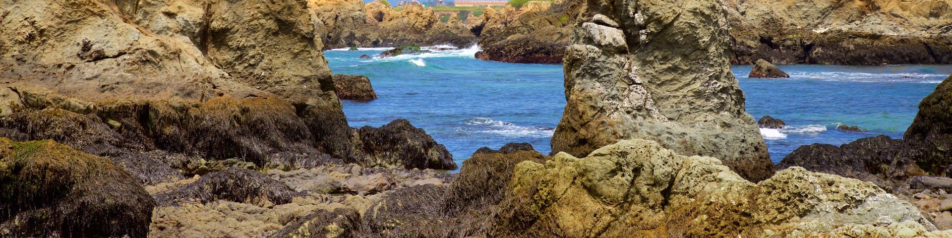 Glass Beach featuring rugged coastline