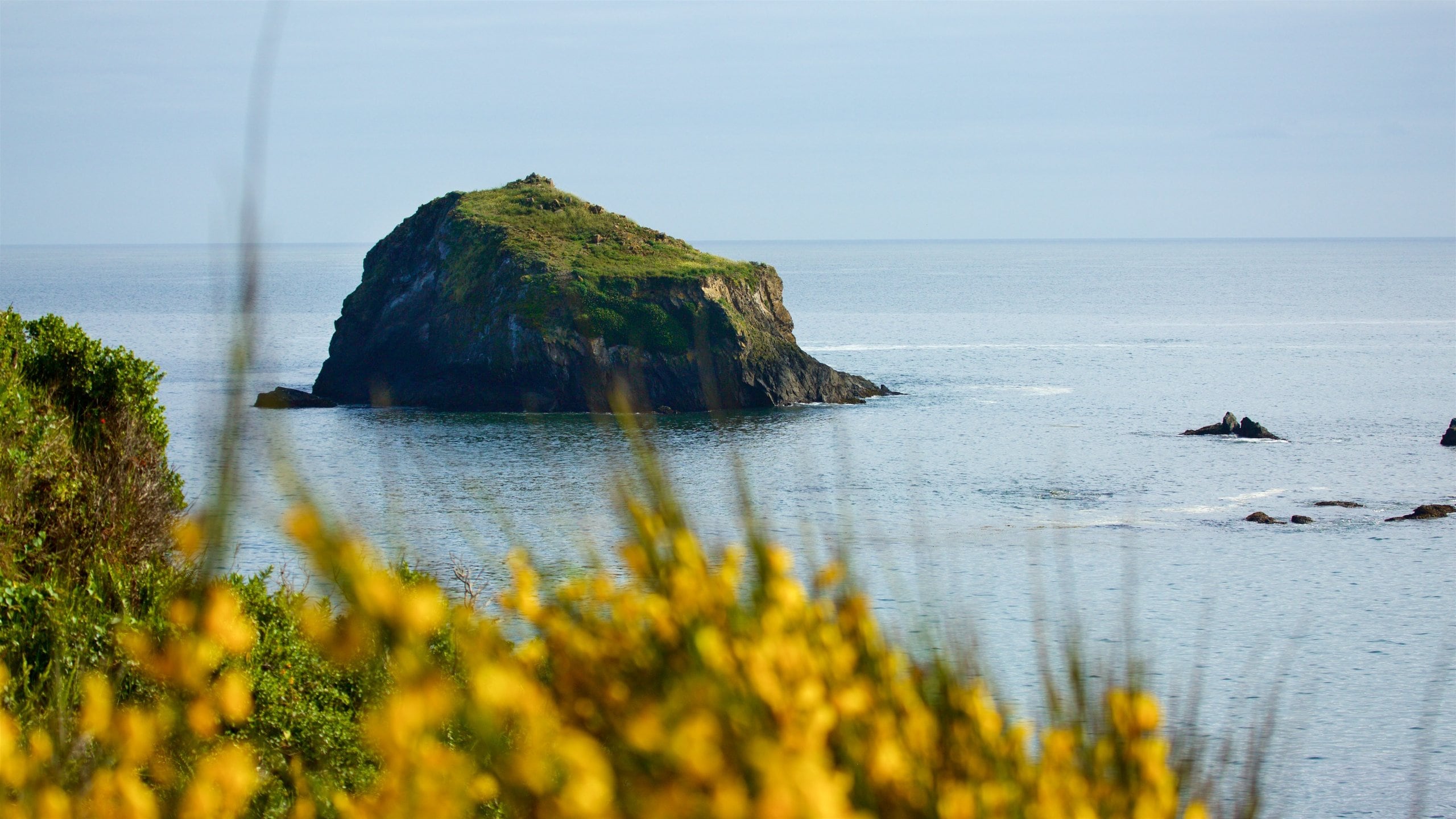 メンドシノ 表示 海岸線の眺め