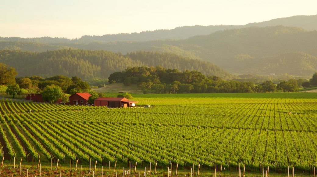 Napa caratteristiche di terreno coltivato, casa e vista del paesaggio