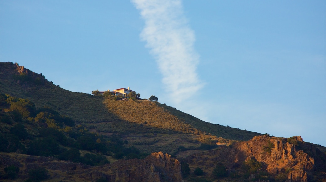 Napa featuring tranquil scenes and a sunset