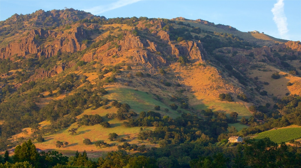 Napa showing a sunset and mountains