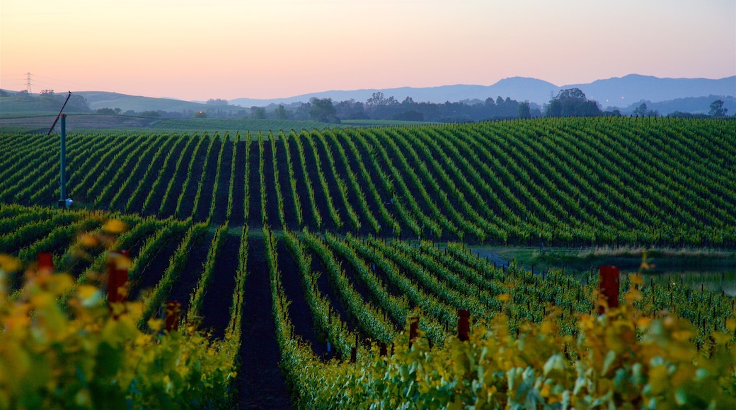 Napa ofreciendo escenas tranquilas, granja y un atardecer