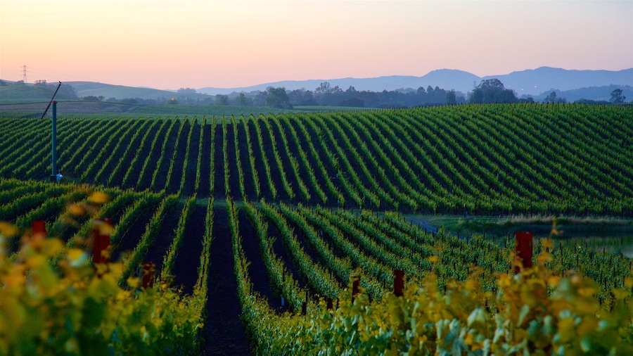 Car Rental Napa Valley from Short to LongTerm Car Rental Car Rental Napa Valley from Short to LongTerm Car Rental