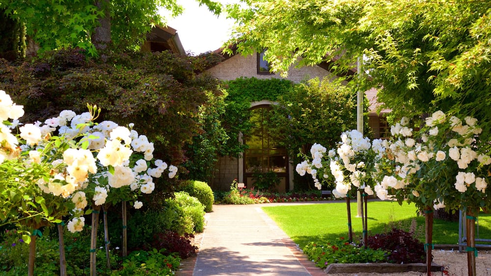 Dry Creek, Weinkellerei das einen Blumen und Park