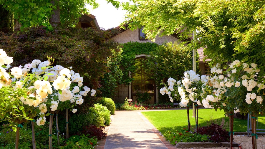 Dry Creek Vineyard showing flowers and a park
