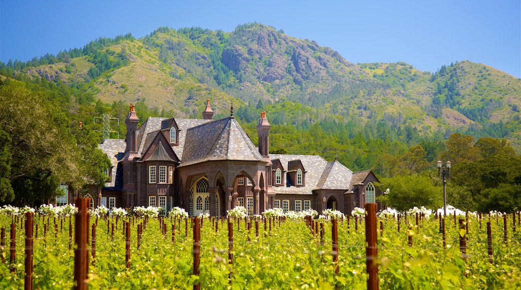 Ledson Winery and Vineyards showing tranquil scenes and farmland