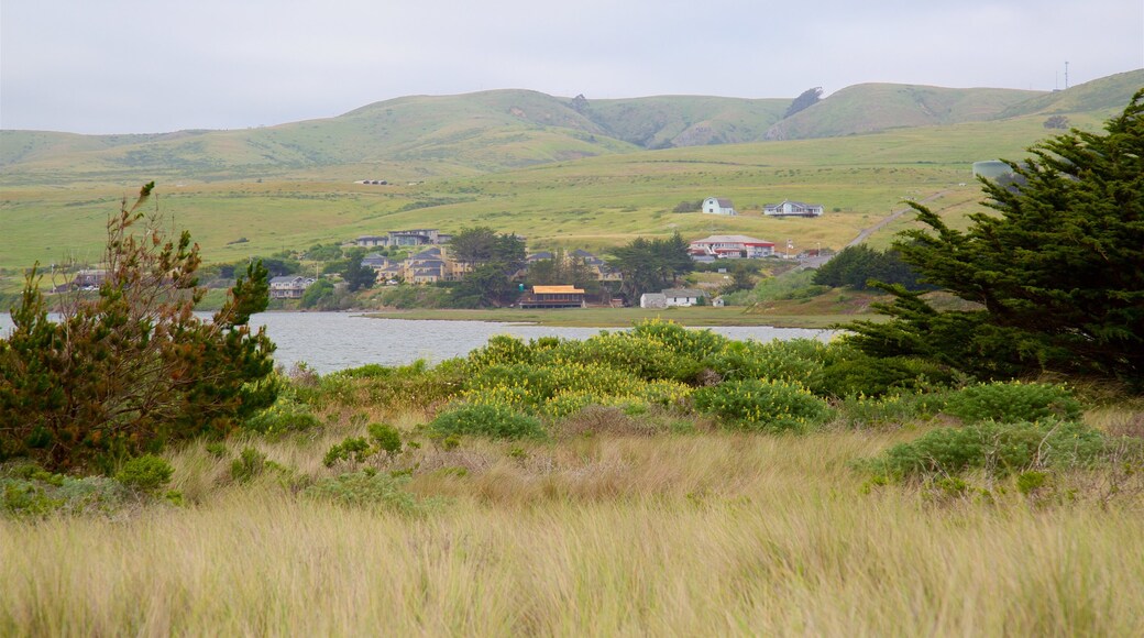 Bodega Bay which includes landscape views, a lake or waterhole and tranquil scenes