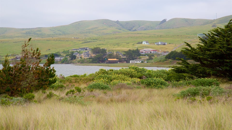 Bodega Bay featuring tranquil scenes, a lake or waterhole and landscape views