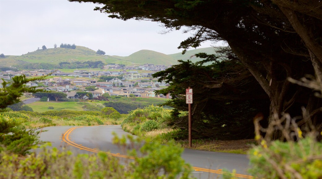 Bodega Bay inclusief een klein stadje of dorpje en vredige uitzichten