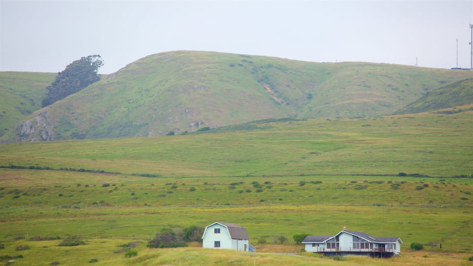 Bodega Bay featuring tranquil scenes and a small town or village
