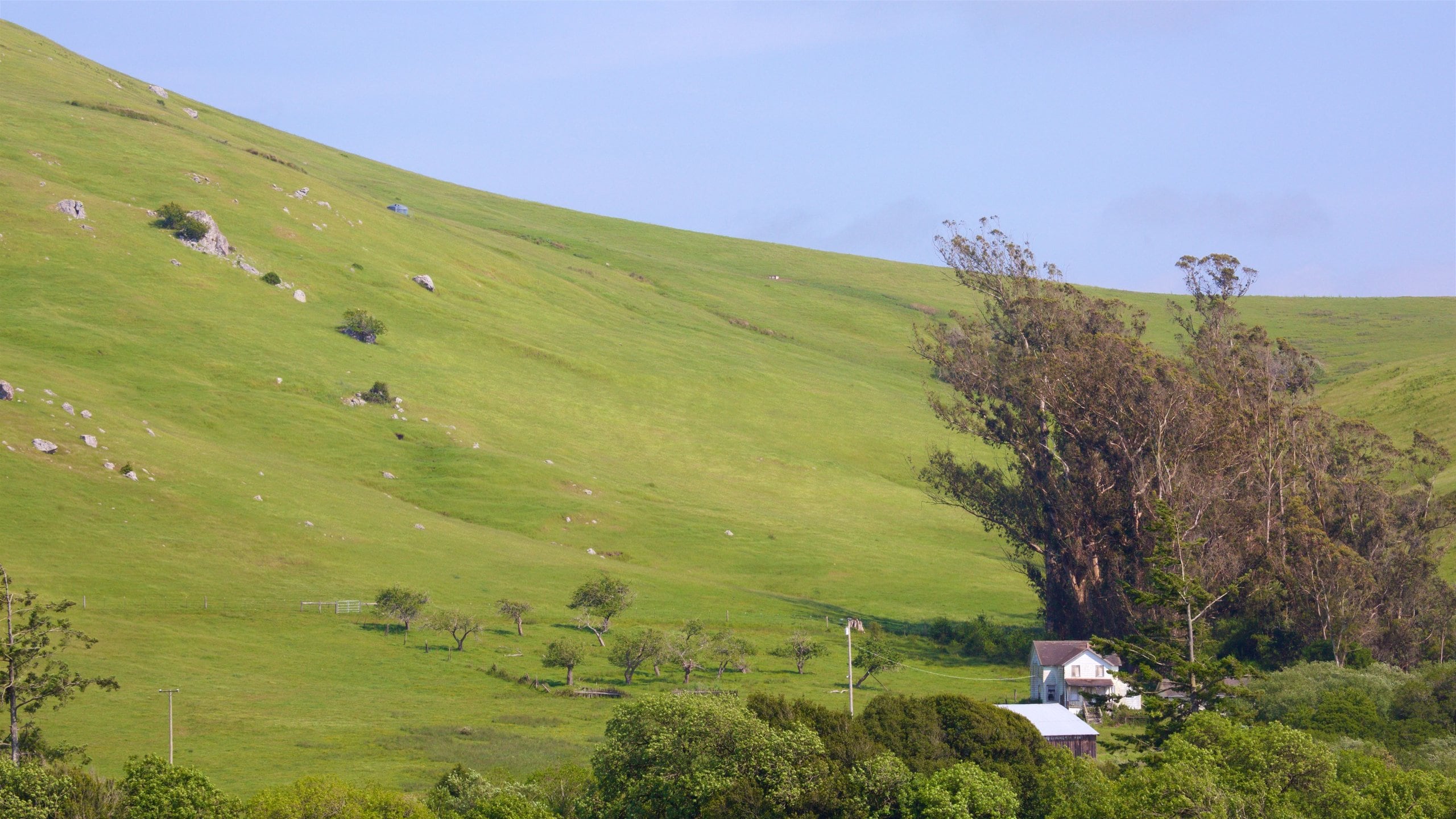 ボーデーガ 表示 自然の風景 と 静かな風景