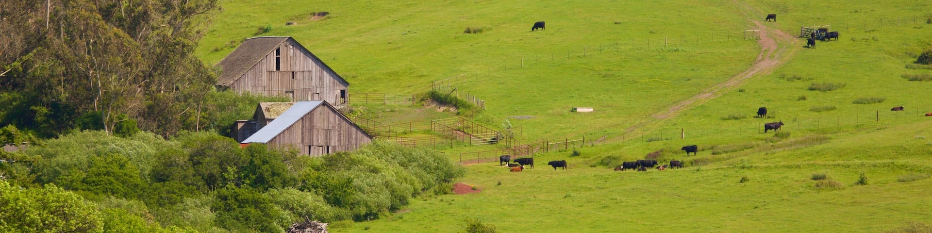 Bodega which includes landscape views and tranquil scenes