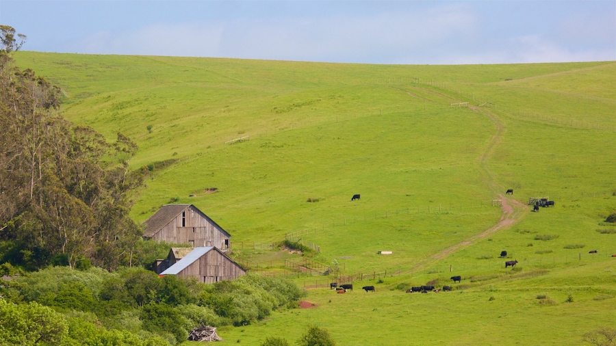 Bodega che include vista del paesaggio e paesaggi rilassanti