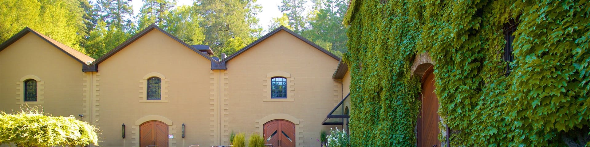 Hess Collection which includes a garden