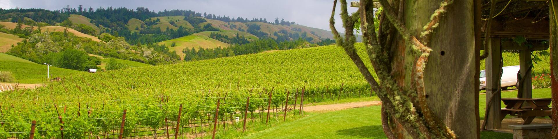 Philo which includes farmland, tranquil scenes and landscape views