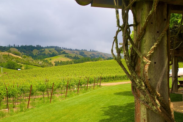 Philo which includes landscape views, farmland and tranquil scenes