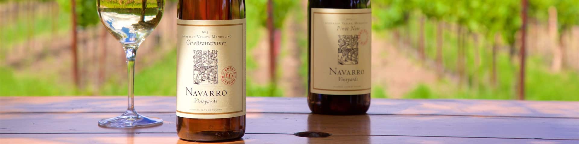 Philo showing drinks or beverages