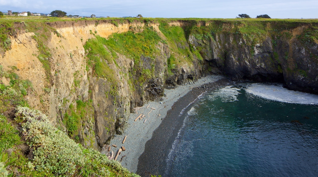 Parc d\'état de Mendocino Headlands mettant en vedette vues littorales