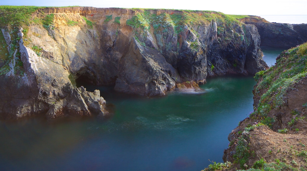 Mendocino Headlands State Park das einen allgemeine Küstenansicht und Felsküste