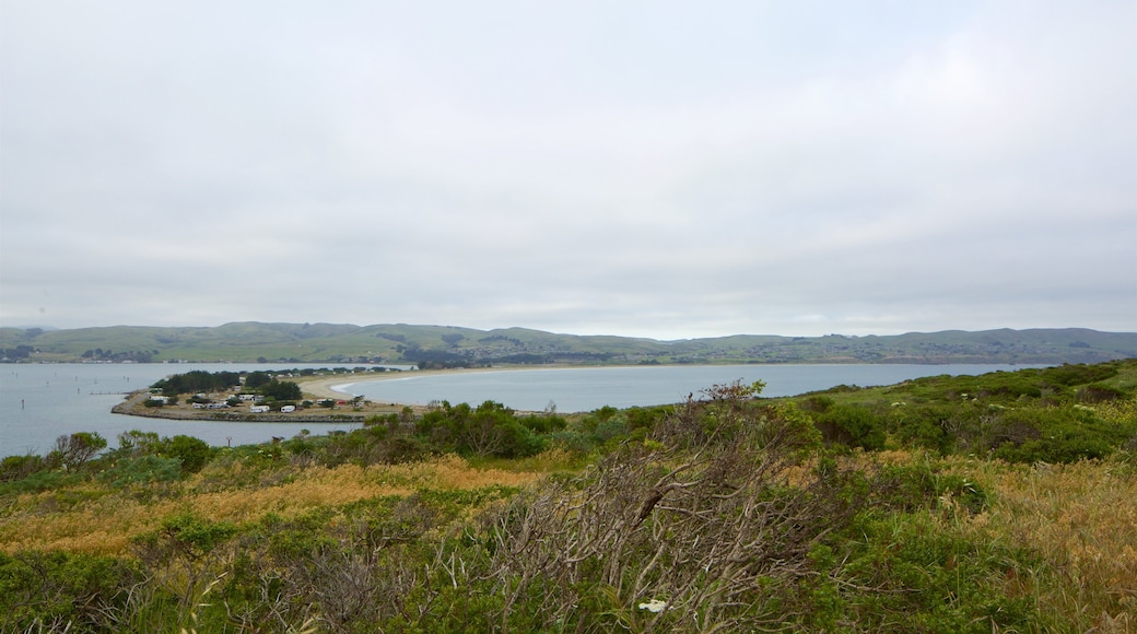 Bodega Head showing a lake or waterhole and tranquil scenes