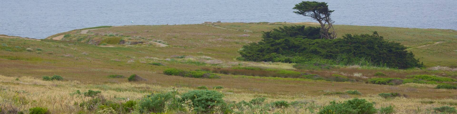 Cabo Bodega ofreciendo escenas tranquilas y vistas generales de la costa