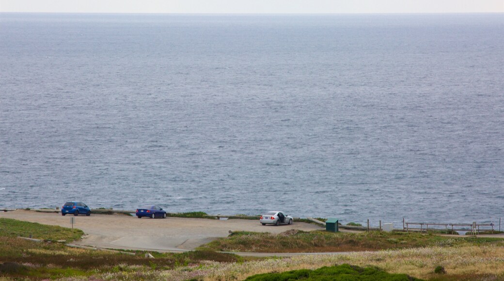 Bodega Head showing views and general coastal views