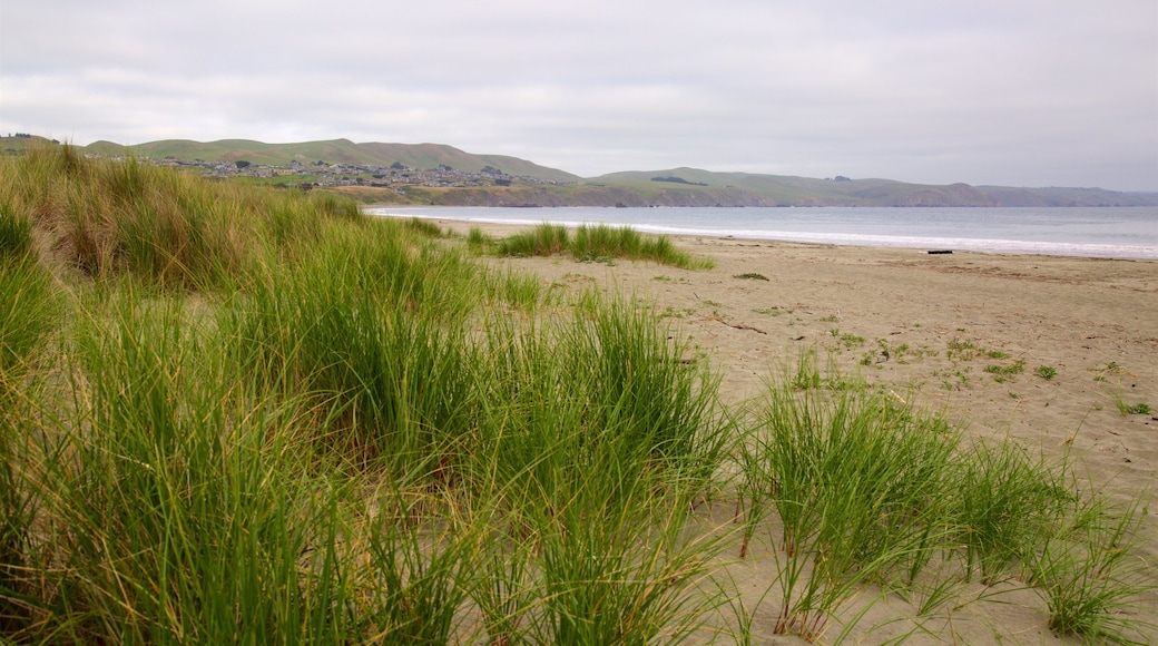 Praia de Doran que inclui uma praia de areia e paisagens litorĂąneas