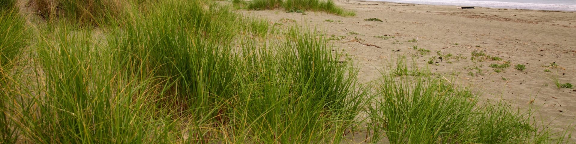 Doran Beach featuring general coastal views and a beach
