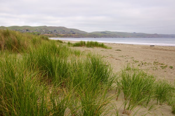 Doran Beach showing a beach and general coastal views